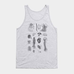 Vintage Anatomy Illustration Tank Top